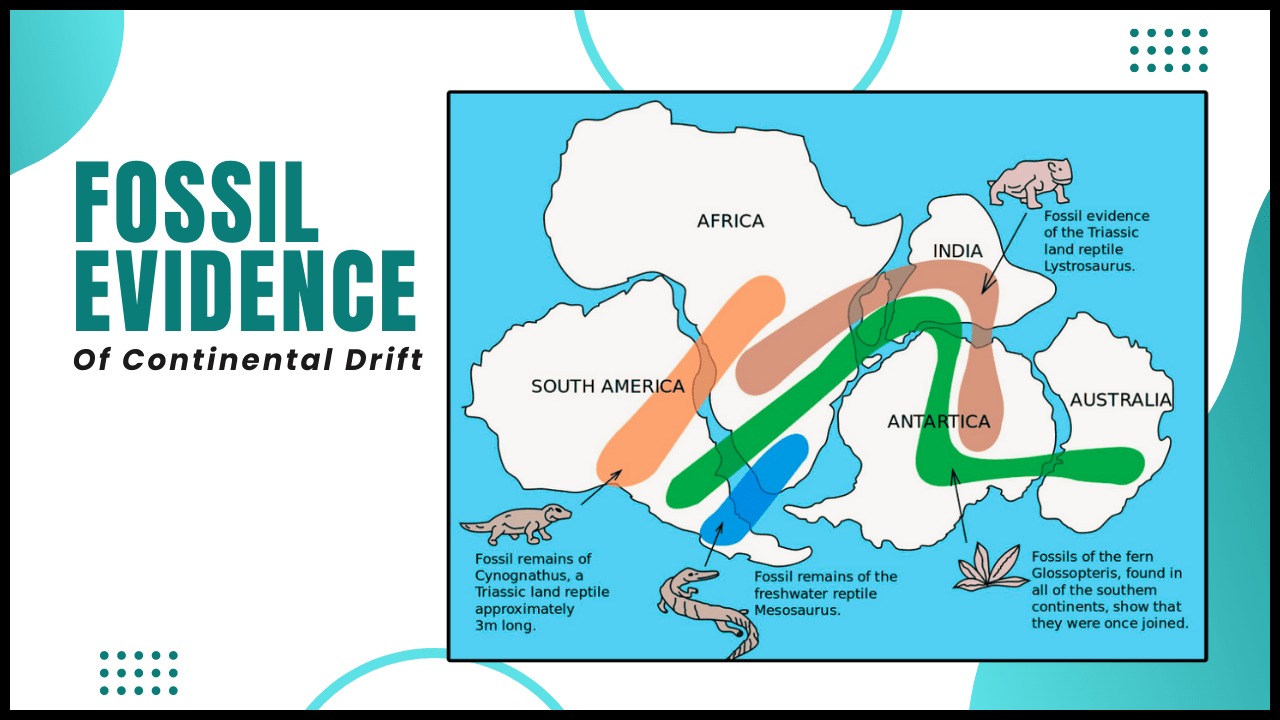 Continental Drift